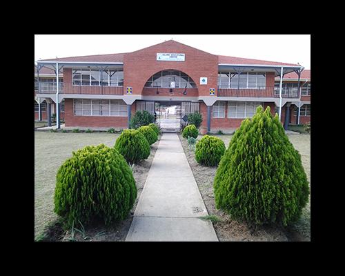 Our School